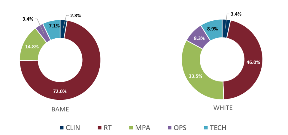 Two Donut Charts depicting job families BAME and White colleagues are most likely to be employed in at UofG. They show BAME colleagues more likely than White colleagues to be employed in RT roles. The majority of White colleagues are employed in RT roles, but are more than twice as likely than BAME colleagues to be employed in MPA roles.