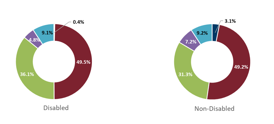 Two donut charts showing distribution of job families across Disabled and Non-Disabled staff groups. They show Disabled and Non-Disabled staff are equally likely to be employed across all job families, with slightly higher representation of MPA roles filled by Disabled staff and slightly higher representation of Operational roles across those filled by the Non-Disabled staff population.