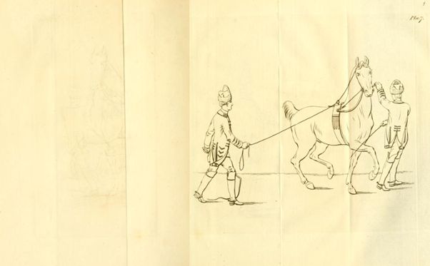 Military equitation or a method of breaking horses and teaching soldiers to ride.  Designed for the use of the Army. Third edition, with plates. Revised and Corrected, with Additions By Henry Herbert comte de Pembroke · 1778  https://www.google.co.u