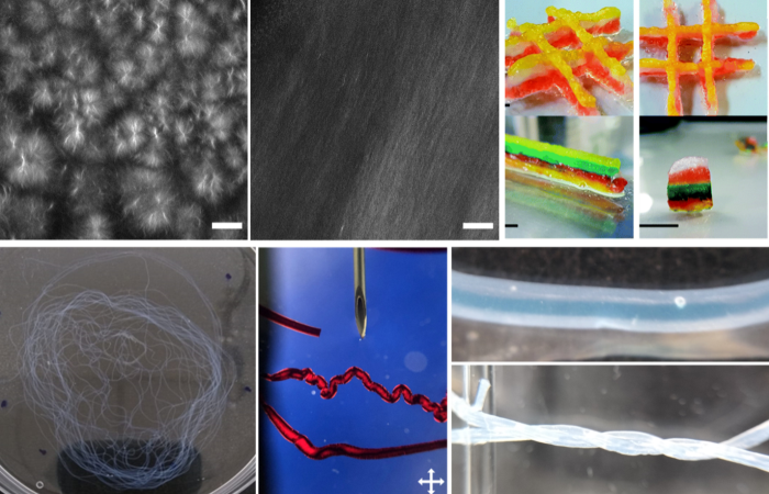 A composite of images of different gel structures