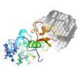 Image of a protein structure