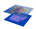 Image of transcriptomics experiment output in 3D