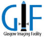 Glasgow Imaging Facility logo