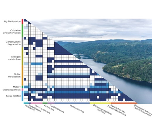 KEGG pathways of metagenome-assembled genomes (left) from Saanich Inlet, British Columbia, Canada