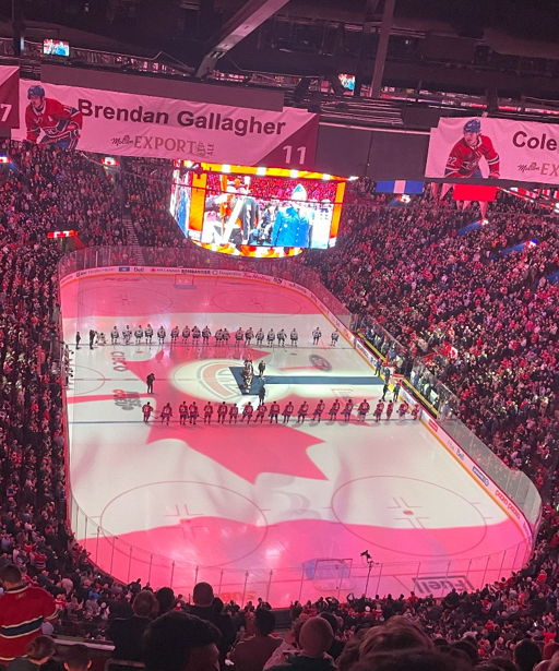 Hockey match in Centre Bell in Montreal