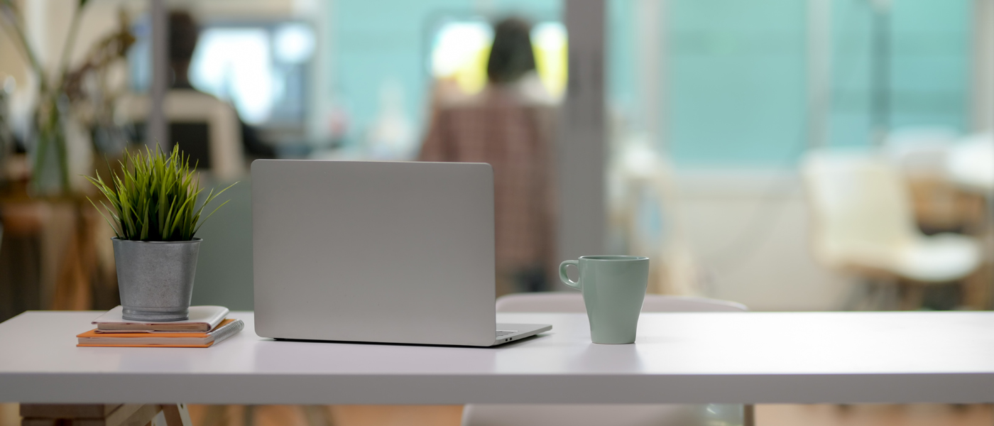 Photo of a laptop, plant and cup of coffee on a desk