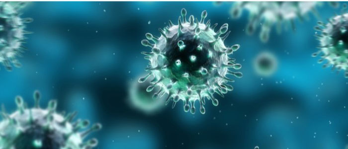 Microscopy image of influenza viruses in colour