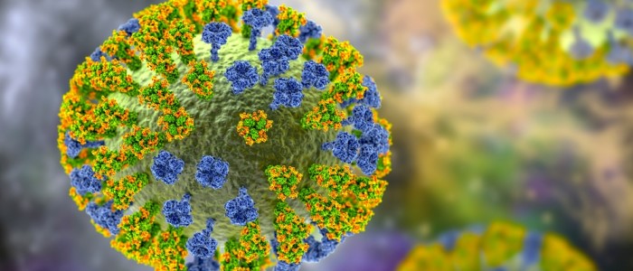 Drawing of an avian influenza virus
