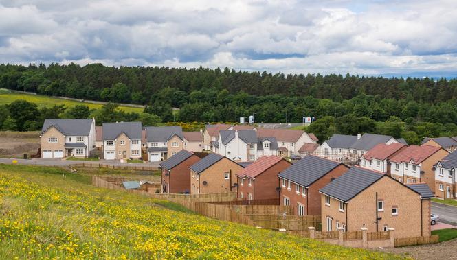 New housing development