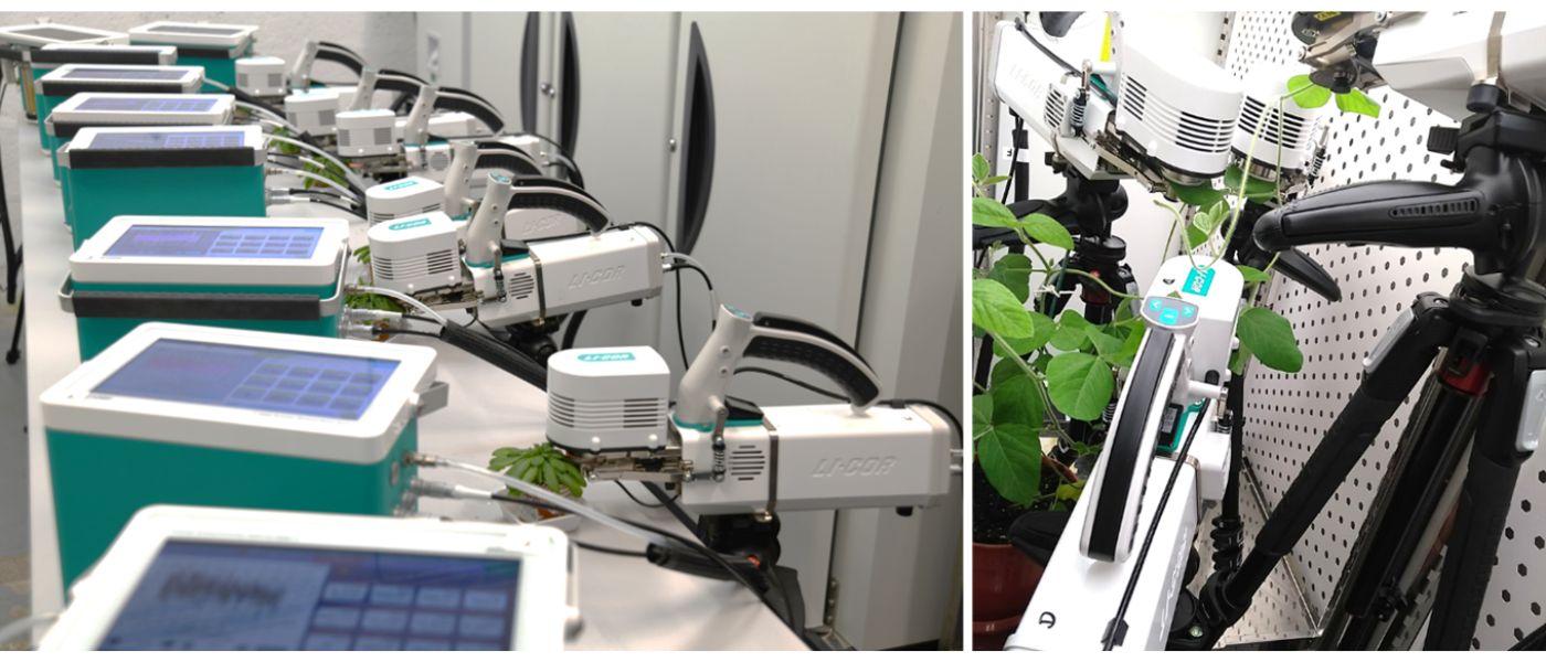LICOR 6800 photosynthesis laser systems in the GasPP Facility