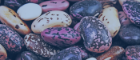 Close up image of mixed beans