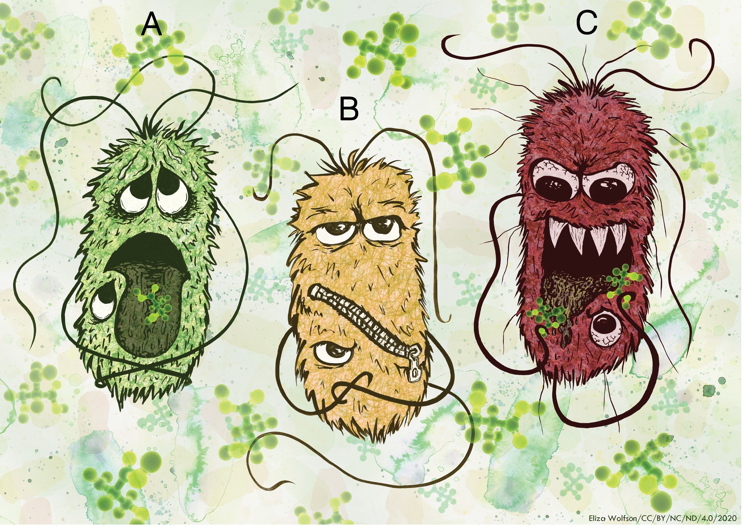 Image showing the three E.coli pathotypes and the different responses they have to the host metabolite D-serine