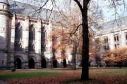 photograph of exterior: autumn shot of the East Quadrangle, with a tree whose leaves are falling in the foreground