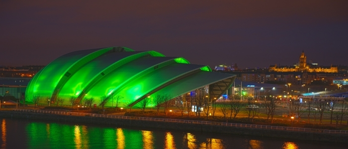 Armidillo at night