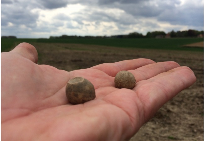 French and British musket balls found by archheologists at the Waterloo battlefield