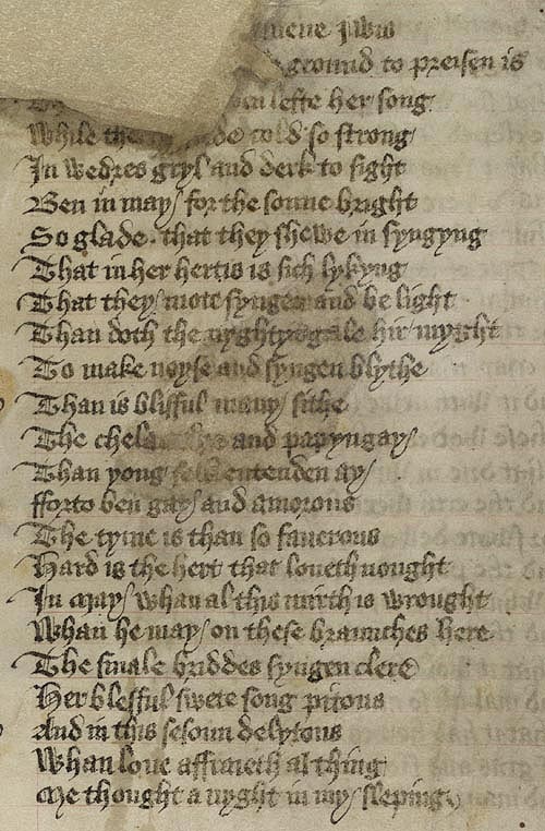 Manuscript - detail of text