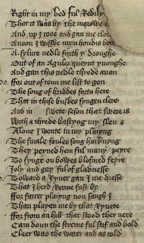 Manuscript - detail of text