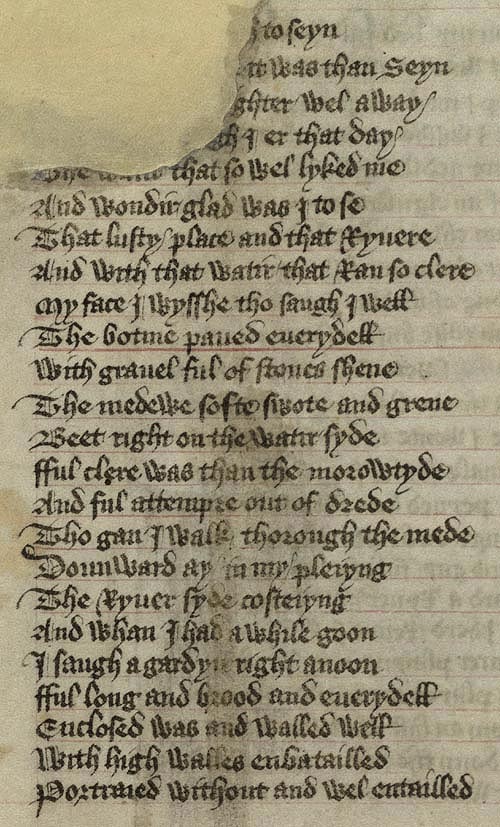 Manuscript - detail of text