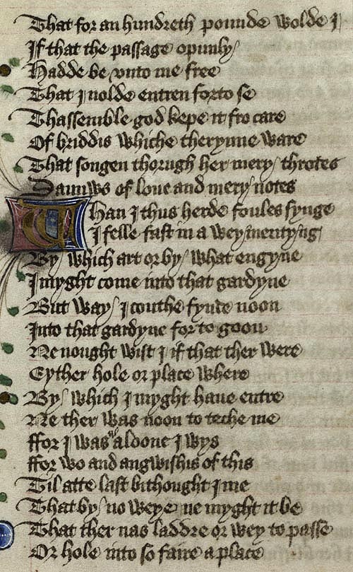 Manuscript - detail of text