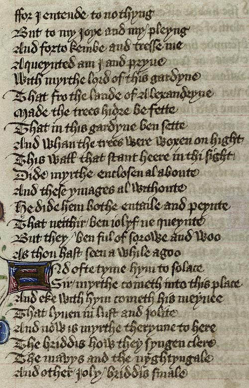 Manuscript - detail of text
