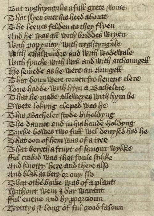 Manuscript - detail of text