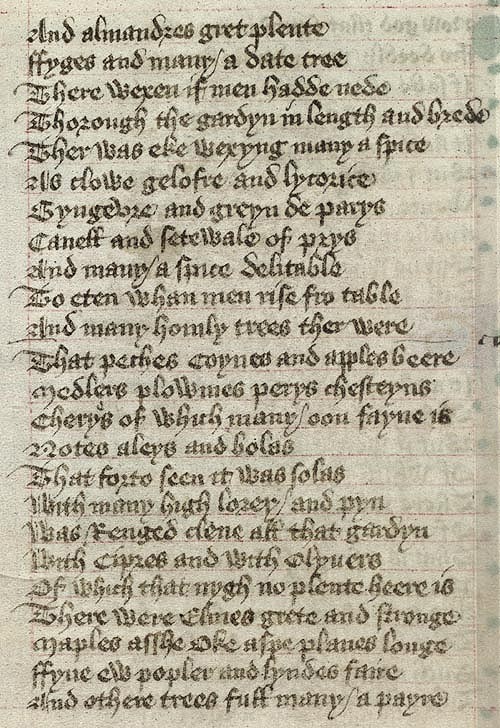 Manuscript - detail of text