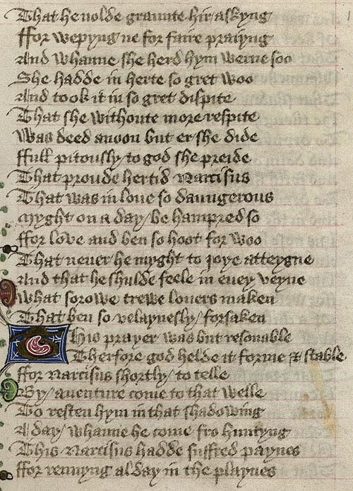 Manuscript - detail of text