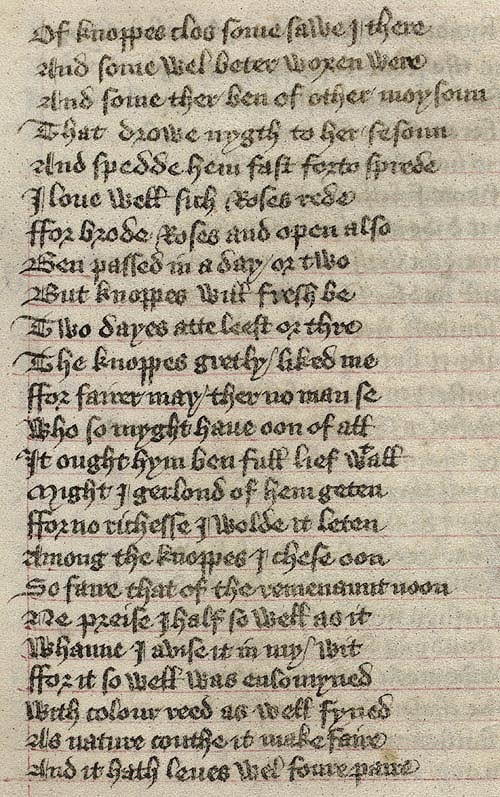 Manuscript - detail of text
