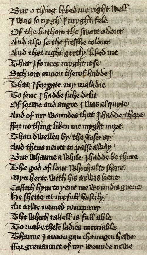 Manuscript - detail of text