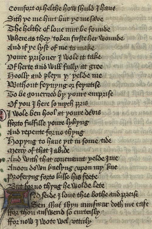 Manuscript - detail of text