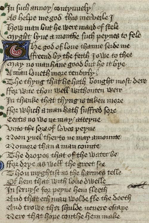Manuscript - detail of text