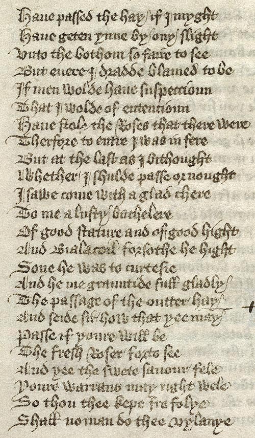 Manuscript - detail of text