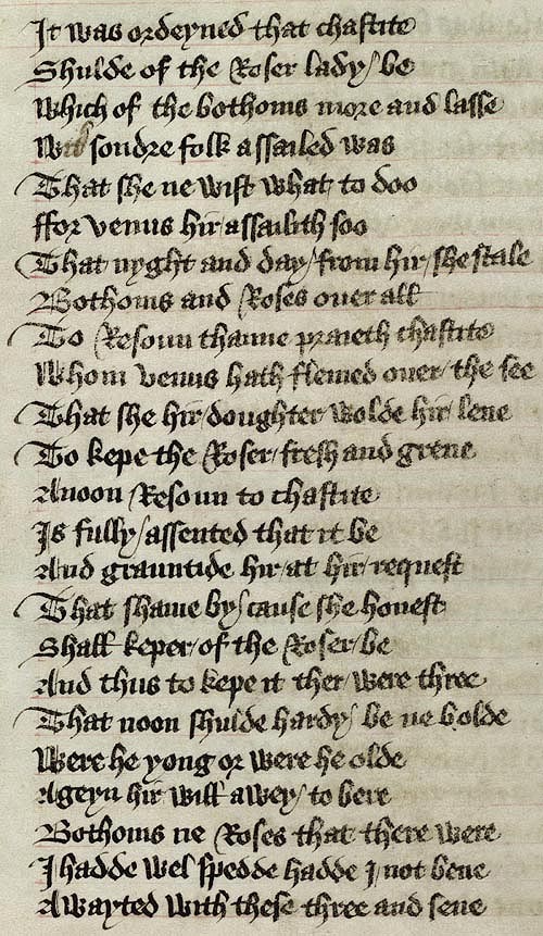 Manuscript - detail of text