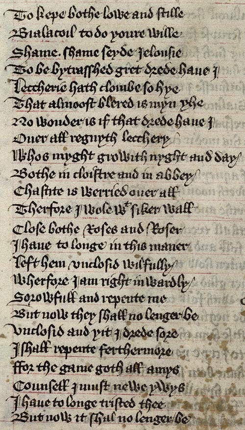 Manuscript - detail of text