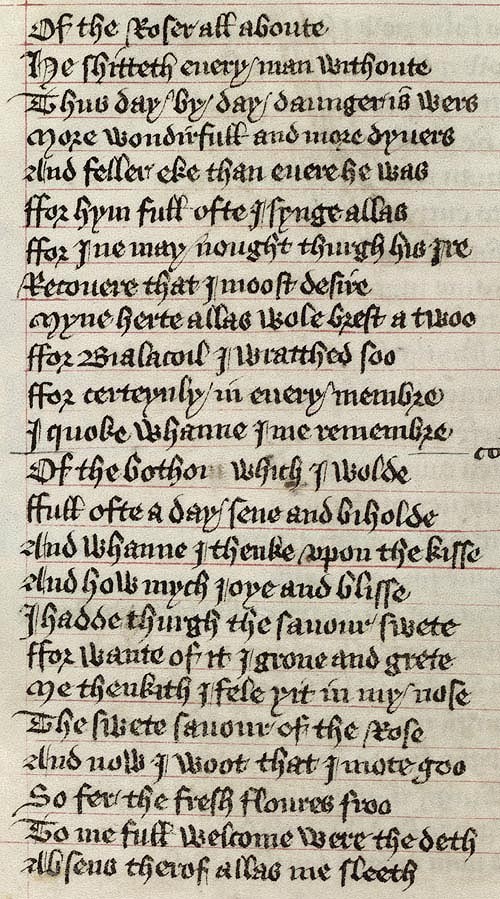 Manuscript - detail of text