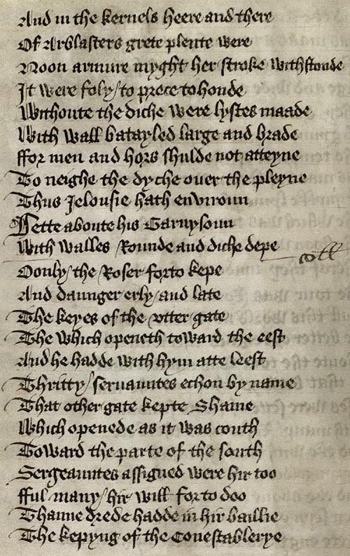 Manuscript - detail of text