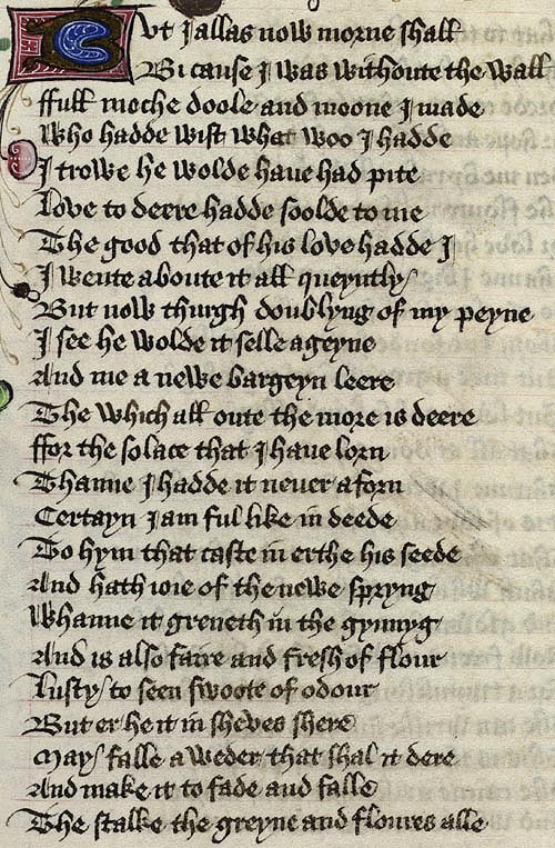 Manuscript - detail of text