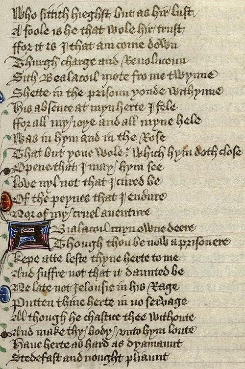 Manuscript - detail of text