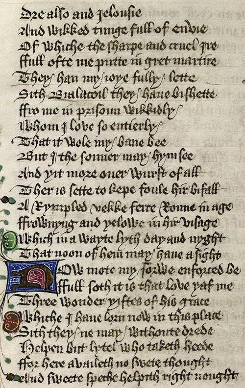 Manuscript - detail of text