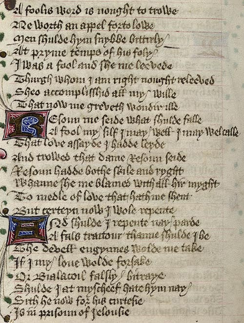 Manuscript - detail of text