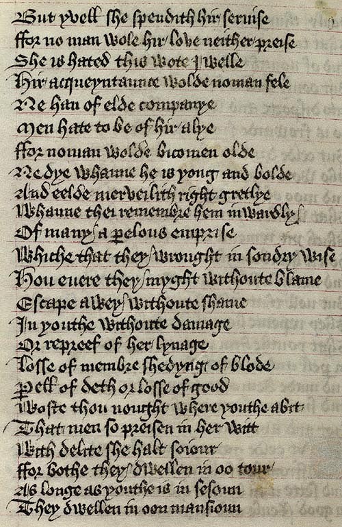 Manuscript - detail of text