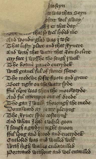 Manuscript