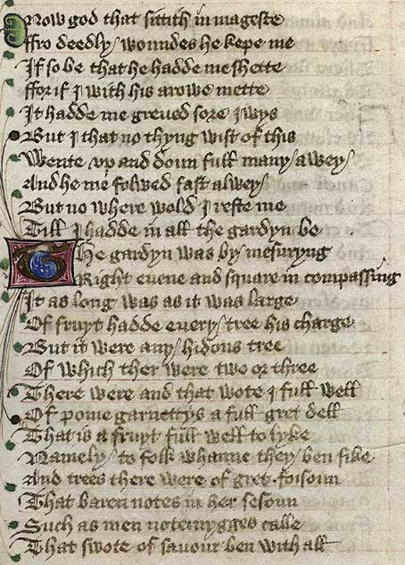 Manuscript