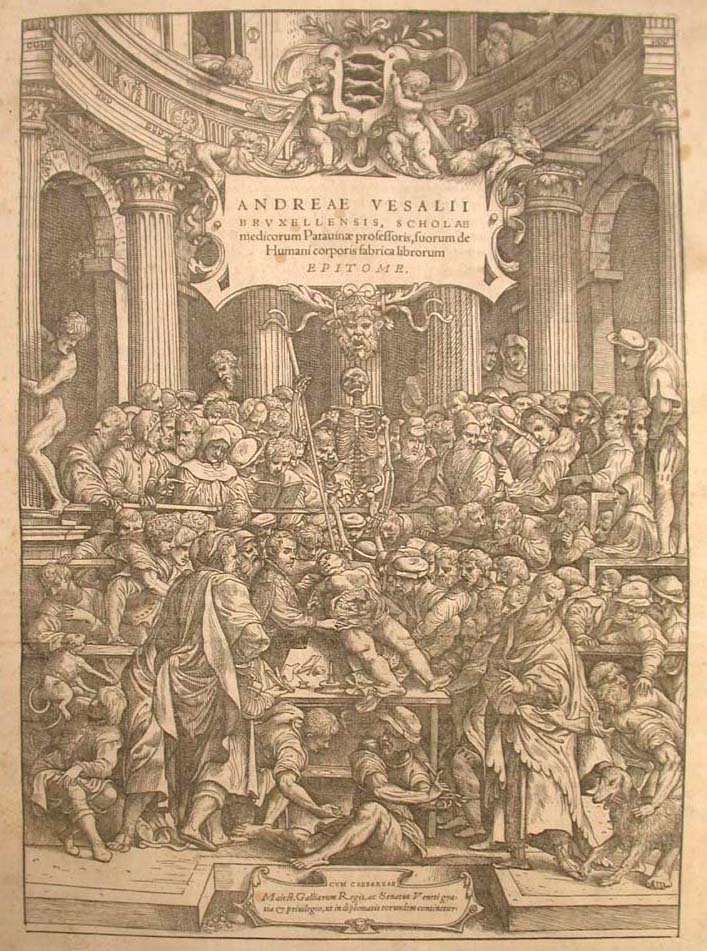 Andreas Vesalius Book De Humani Corporis Fabrica