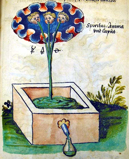 [Image: msferguson6_p161.jpg]