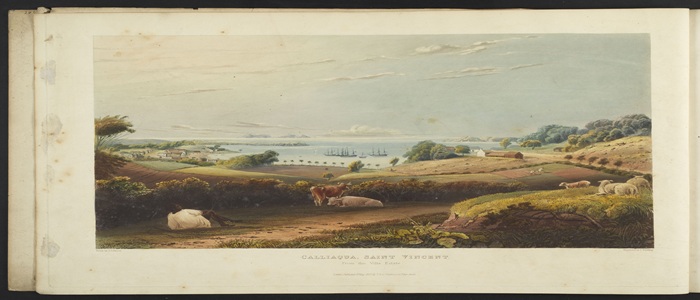 Image for Bha sinn ann: Scottish enterprising in the pre-and post-emancipation eras of St. Vincent island and the Grenadines 