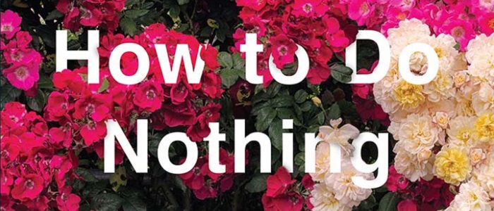 Image for How to Do Nothing: Book Group 