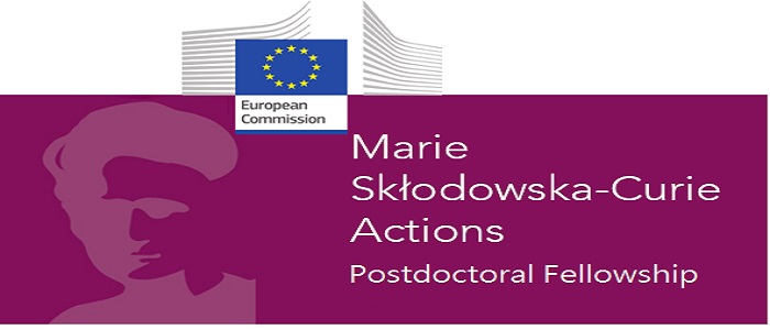 Image for Overseas Team : Marie Skłodowska-Curie Doctoral Networks Webinar
