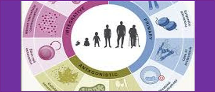 Image for Healthy Ageing: The Hype and the Hope