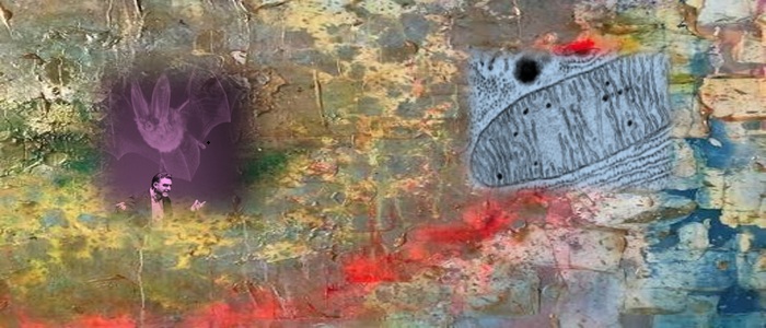 Image for The deep chemistry of life and death
